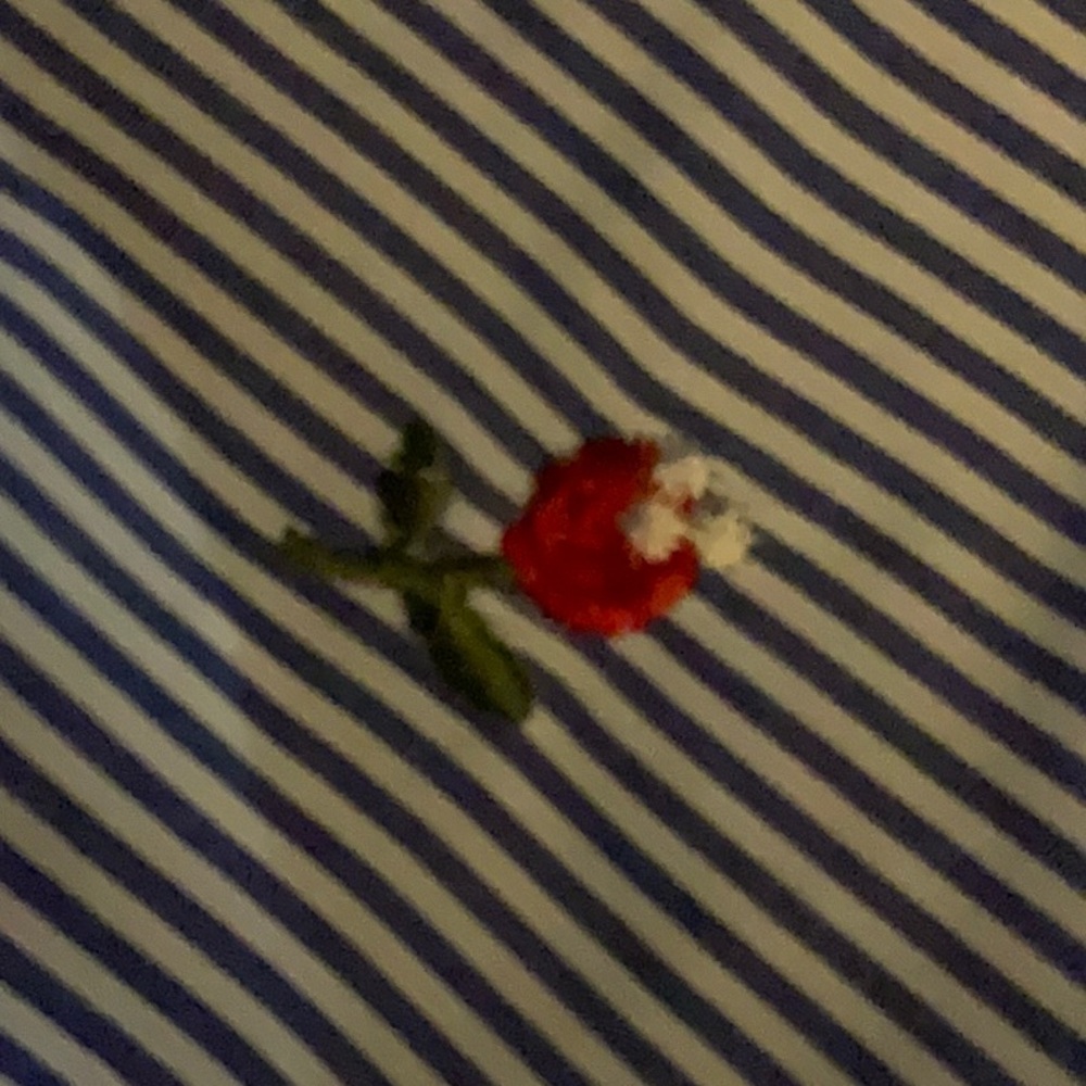 Women’s Kontrol Striped Off Shoulder Crop Blouse w/Floral Embroidery Tie Front - Picture 4 of 6